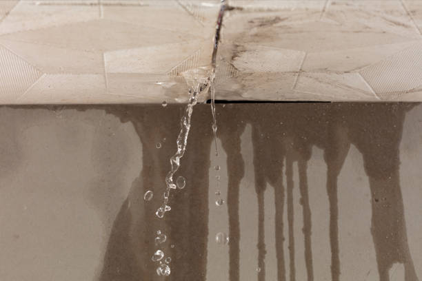 Professional Structural Drying technician working in New Germany, MN